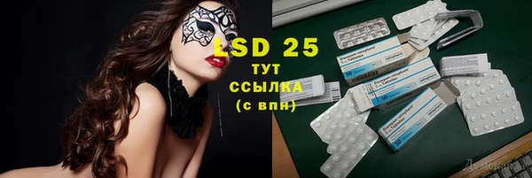 прущие грибы Нефтегорск
