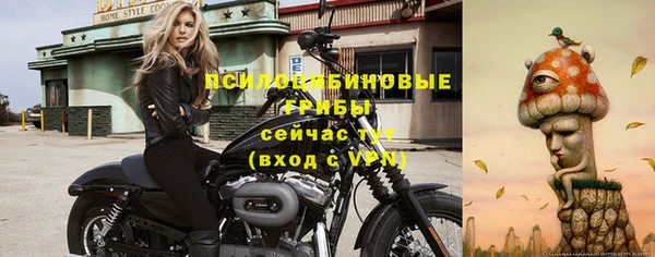 прущие грибы Нефтегорск